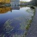 Gibson Mill 121209_3